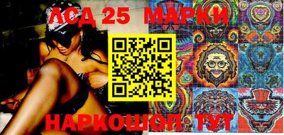 крисы Краснодар