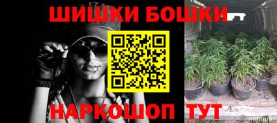 крисы Краснодар