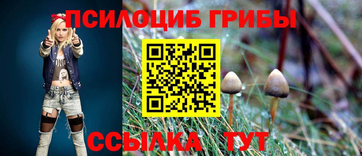 Галлюциногенные грибы мухоморы  Вход с VPN  Зима 