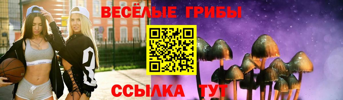 Псилоцибиновые грибы MAGIC MUSHROOMS Зима