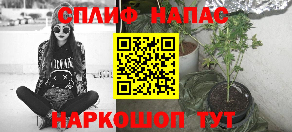 Канабис MAZAR  Вход с VPN  Каннабис AK-47  Зима  МАРИХУАНА Bruce Banner  Каннабис OG Kush 